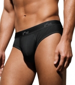 2xist Essentials No Show Brief